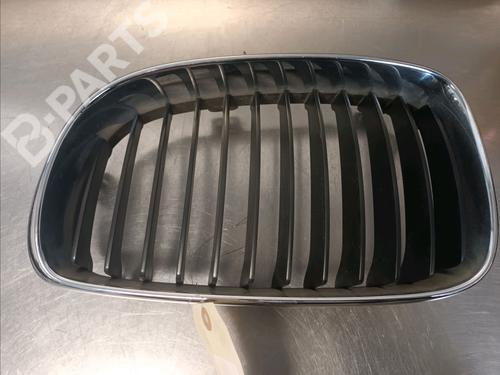 Used Grille BMW 1 (E81) 118 d (143 hp) 9668935