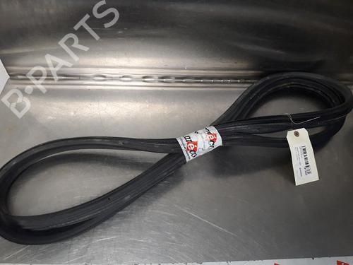 Used Rubber door seal RENAULT MEGANE III Coupe (DZ0/1_) 1.5 dCi (DZ09, DZ0D, DZ1F, DZ1G, DZ14, DZ29) (110 hp) 14866612