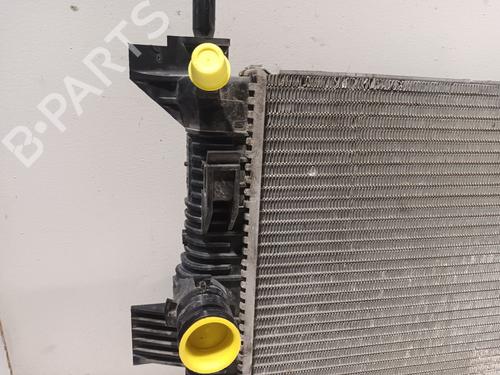Water radiator FORD TRANSIT CONNECT V408 Box Body/MPV 1.6 TDCi | BP36291436M31 - Image 2