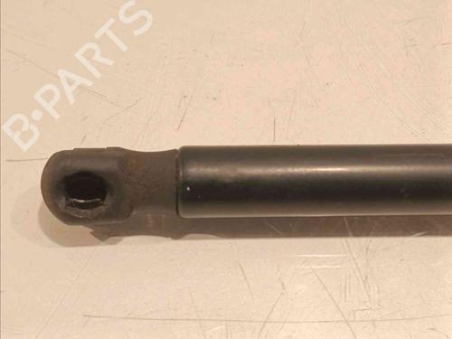 Hood lift support VW GOLF VI (5K1) 1.6 TDI | BP16313567C139 