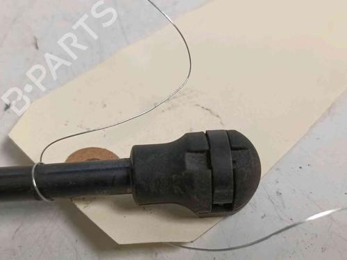 Tailgate lift support RENAULT ZOE (BFM_) ZOE | BP20604352C138