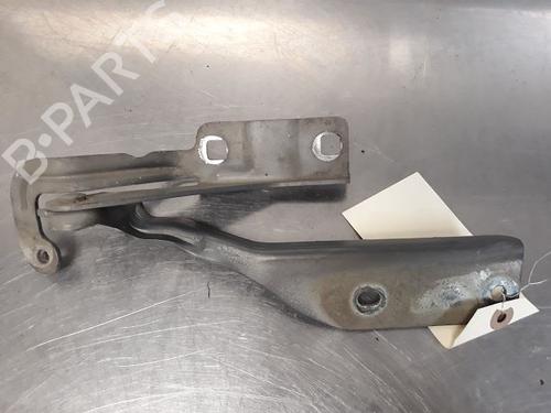Hinge/Door check strap NISSAN PRIMERA Hatchback (P12) 1.9 dCi | BP20600586C146 
