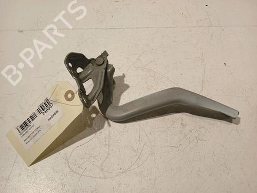 Used Hinge/Door check strap PEUGEOT 107 (PM_, PN_) 1.0 (68 hp) 17909930