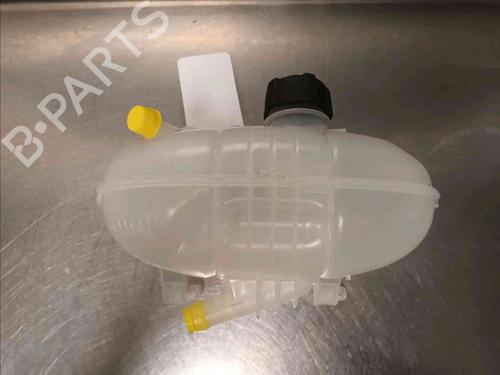 Expansion tank RENAULT TRAFIC III Van (FG_)  | BP21139040C120