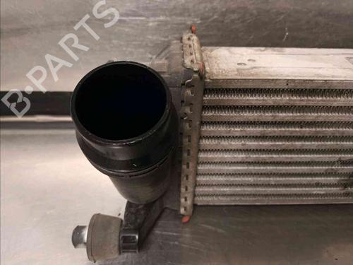 Intercooler MERCEDES-BENZ CITAN Box Body/MPV (W415)  | BP21686013M30 