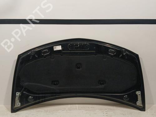 Hood RENAULT CLIO III (BR0/1, CR0/1) 1.5 dCi (C/BR0G, C/BR1G) | BP22251465C1