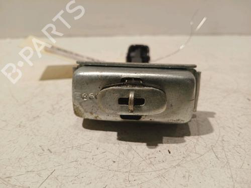 Hinge/Door check strap FORD KUGA I 2.0 TDCi | BP18123994C146 