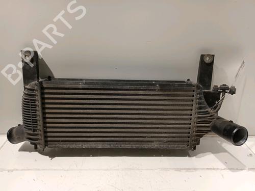 Used Intercooler NISSAN PATHFINDER III (R51) 2.5 dCi 4WD (171 hp) 16332144