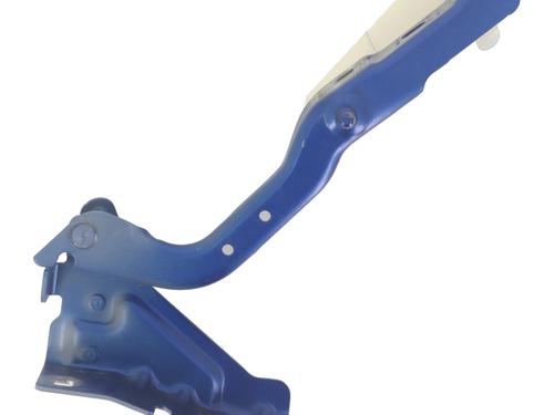 Used Hinge/Door check strap RENAULT AUSTRAL TCe 130 (HGM2) (131 hp) 30476107