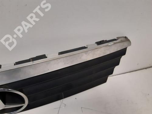 Grille MERCEDES-BENZ A-CLASS (W168) A 170 CDI (168.009, 168.109) | BP9334926C40 
