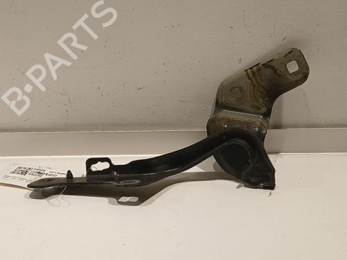 Used Hinge/Door check strap RENAULT CLIO III (BR0/1, CR0/1) 1.5 dCi (BR17, CR17) (86 hp) 20609175