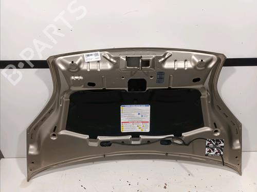 Hood CITROËN NEMO MPV 1.4 HDi | BP17802099C1 