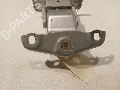 Hinge/Door check strap OPEL VIVARO A Van (X83) 2.0 CDTI (F7) | BP18058219C146 