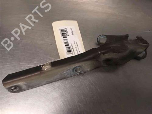 Hinge/Door check strap CITROËN C6 (TD_) 2.7 HDi | BP20603271C146 