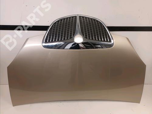 Used Hood LANCIA MUSA (350_) 1.3 D Multijet (350.AXB11, 350.AXB1A) (70 hp) 11702481