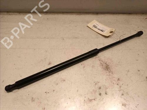 Used Tailgate lift support RENAULT SCÉNIC III (JZ0/1_) 1.6 dCi (JZ00, JZ12) (130 hp) 20604868