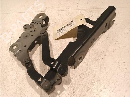 Hinge/Door check strap BMW 1 (F20) 120 d xDrive | BP18248627C146 