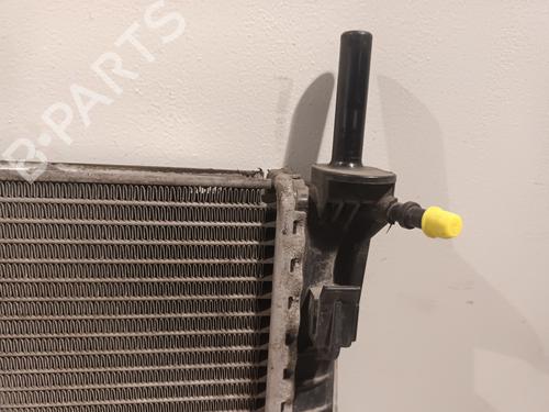 Køler FORD TRANSIT Van (FA_ _) 2.2 TDCi | BP31034138M31