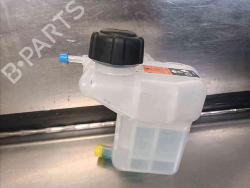 Expansion tank NISSAN QASHQAI II (J11, J11_)  | BP21781898C120 