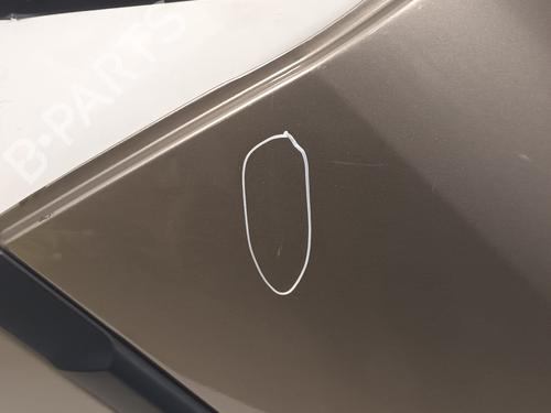 Left rear door RENAULT CLIO III (BR0/1, CR0/1) 1.5 dCi (C/BR0G, C/BR1G) | BP20608251C4 