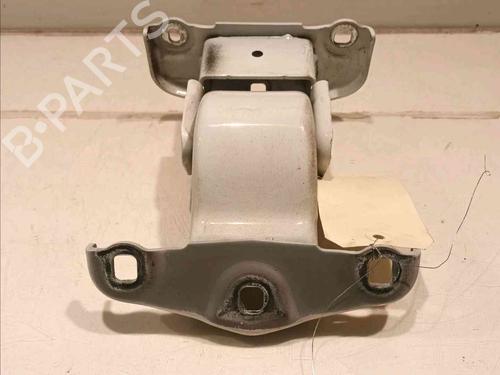 Hinge/Door check strap RENAULT TRAFIC III Van (FG_)  | BP20605164C146
