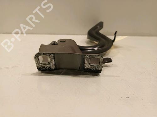 Hinge/Door check strap RENAULT KOLEOS II (HC_) 1.7 BLUE dCi 150 (HCA7) | BP14948484C146 