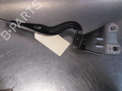 Hinge/Door check strap RENAULT WIND (E4M_) 1.2 (E4MF) 515504040895