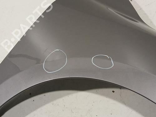 Right front fenders RENAULT MEGANE III Hatchback (BZ0/1_, B3_) 1.5 dCi (BZ0C) | BP28688892C42 
