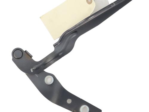 Hinge/Door check strap VW GOLF VII Variant (BA5, BV5) 1.4 TSI MultiFuel | BP21565729C146 