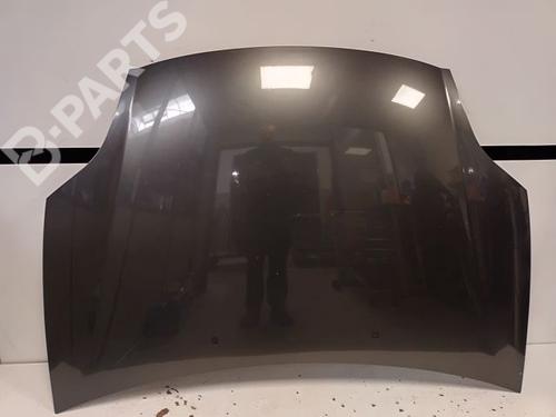 Used Hood FIAT BRAVO II (198_) 1.9 D Multijet (198AXC1B) (150 hp) 9337874