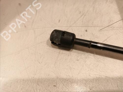 Tailgate lift support MINI MINI COUNTRYMAN (R60) One | BP16979416C138 