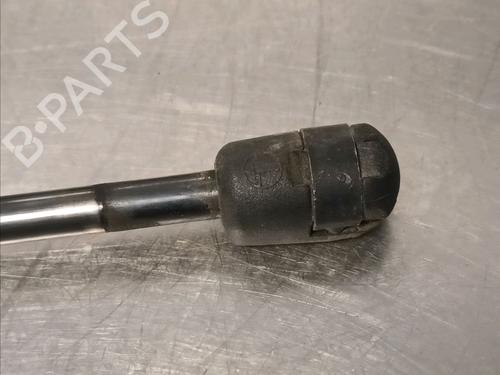 Tailgate lift support FORD FOCUS II (DA_, HCP, DP) 1.6 TDCi | BP14868059C138 