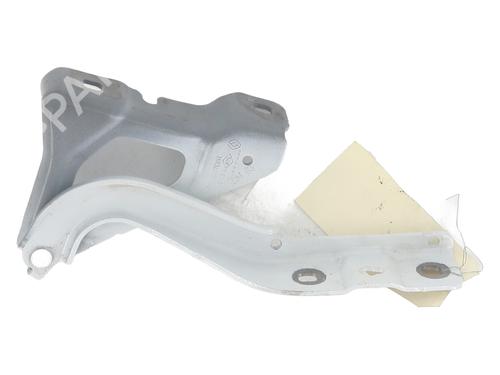 Hinge/Door check strap RENAULT CLIO V (B7_) 1.6 E-TECH 145 (B7MU) | BP32657878C146