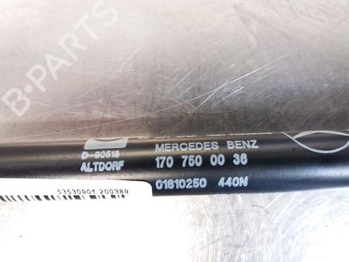 Tailgate lift support MERCEDES-BENZ SLK (R170) 200 Kompressor (170.444) | BP20600642C138 