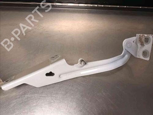 Hinge/Door check strap MERCEDES-BENZ CITAN Box Body/MPV (W415)  | BP21587419C146