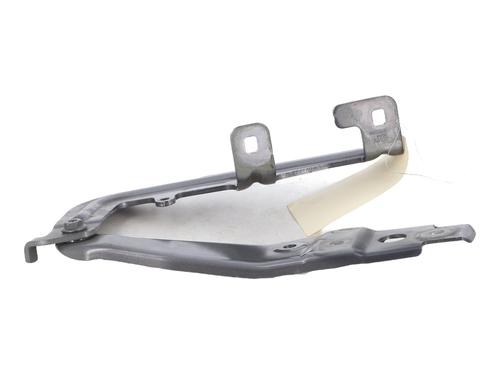 Hinge/Door check strap MERCEDES-BENZ B-CLASS Sports Tourer (W247) B 200 d (247.012) | BP22363987C146