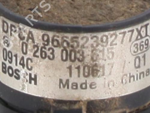 Elektronisk modul PEUGEOT PARTNER Box Body/MPV 1.6 HDi / BlueHDi 75 | BP30801129M83