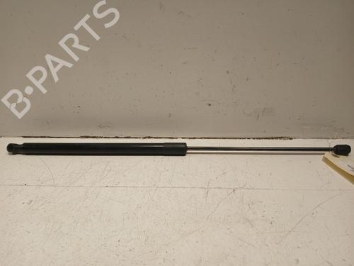 Tailgate lift support FORD KUGA I 2.0 TDCi 1729322