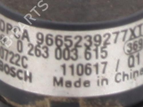 Elektronisk modul PEUGEOT PARTNER Box Body/MPV 1.6 HDi / BlueHDi 75 | BP30801127M83