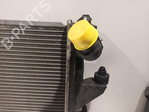 Køler PEUGEOT BOXER Platform/Chassis 2.2 HDi 110 | BP32312851M31