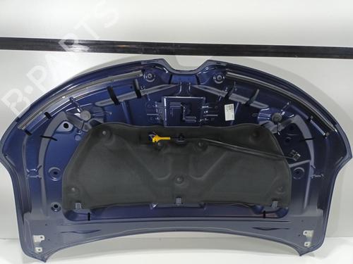 Hood RENAULT SCENIC E-TECH PHASE I EV87 | BP22921649C1 