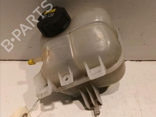 Expansion tank MINI MINI COUNTRYMAN (R60) One (98 hp) 17137539267