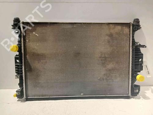 Køler FORD S-MAX (CJ, WA6) [2015-2025]  21124249