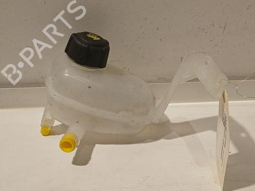 Expansion tank RENAULT SCENIC E-TECH PHASE I EV87 217105MZ1A