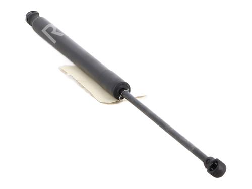 Tailgate lift support CITROËN C3 II (SC_) 1.4 HDi 70 (SC8HZC, SC8HR0, SC8HP4) | BP30049988C138 