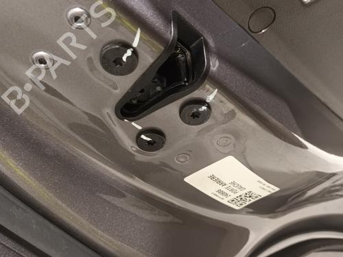 Left rear door RENAULT ESPACE V (JR_)  | BP20608146C4 
