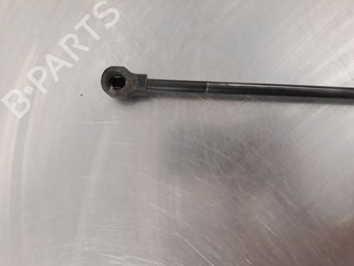 Tailgate lift support DACIA SANDERO II 1.5 dCi | BP14867912C138 