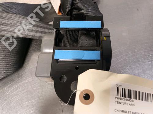 Rear left belt tensioner CHEVROLET AVEO / KALOS Hatchback (T250, T255) 1.2 LPG | BP9513579C89 