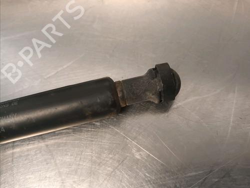 Tailgate lift support VOLVO S60 I (384) D5 | BP14868528C138 
