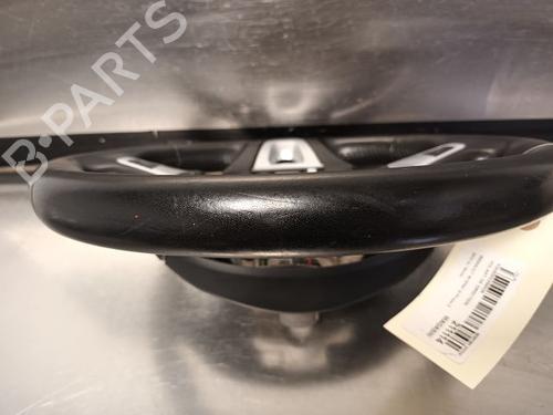 Rat RENAULT SCÉNIC III (JZ0/1_) 1.6 16V (JZ0U, JZ1B) (110 hp) 24879990